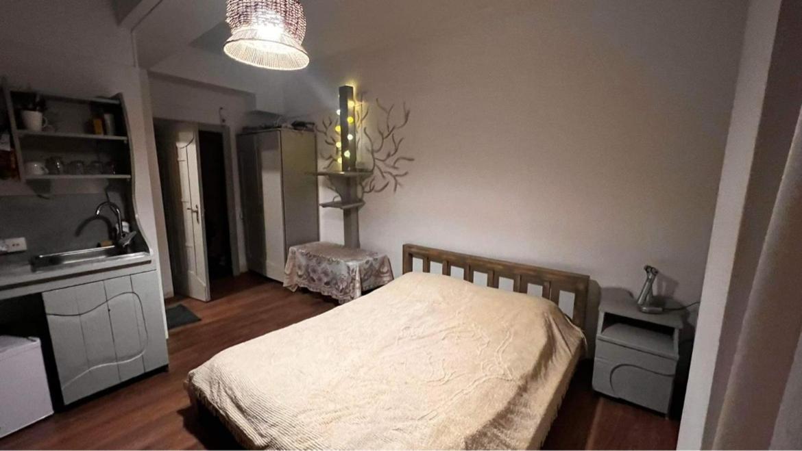 Hotel Mgzavrebi บาคูเรียนี ภายนอก รูปภาพ